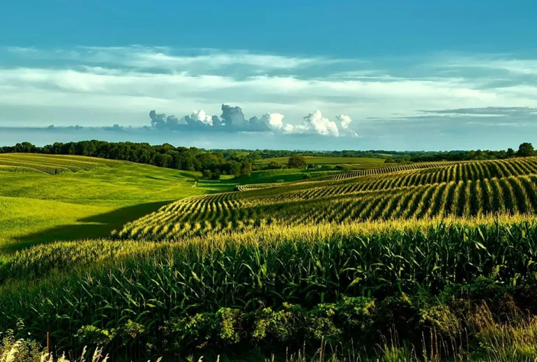 We grow fresh, organic produce using clean methods that protect nature, healthy food.